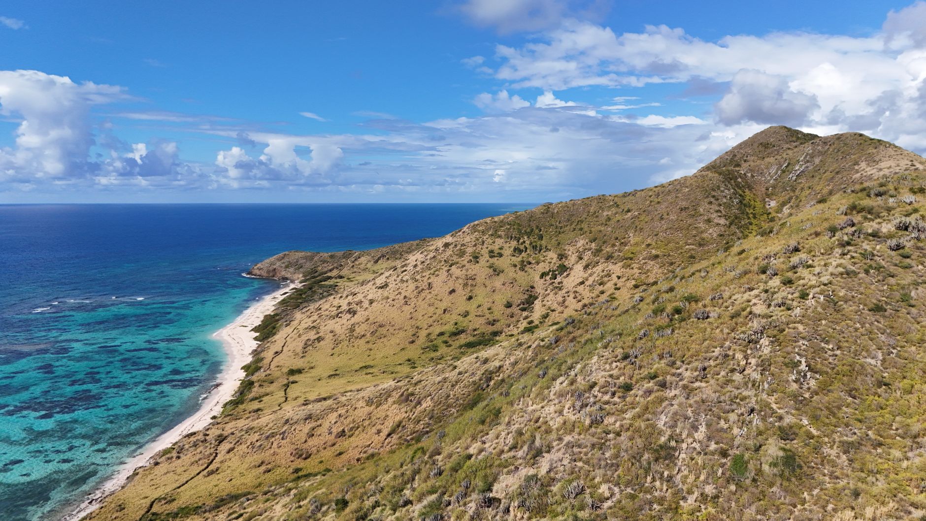 Saint Vincent and the Grenadines
