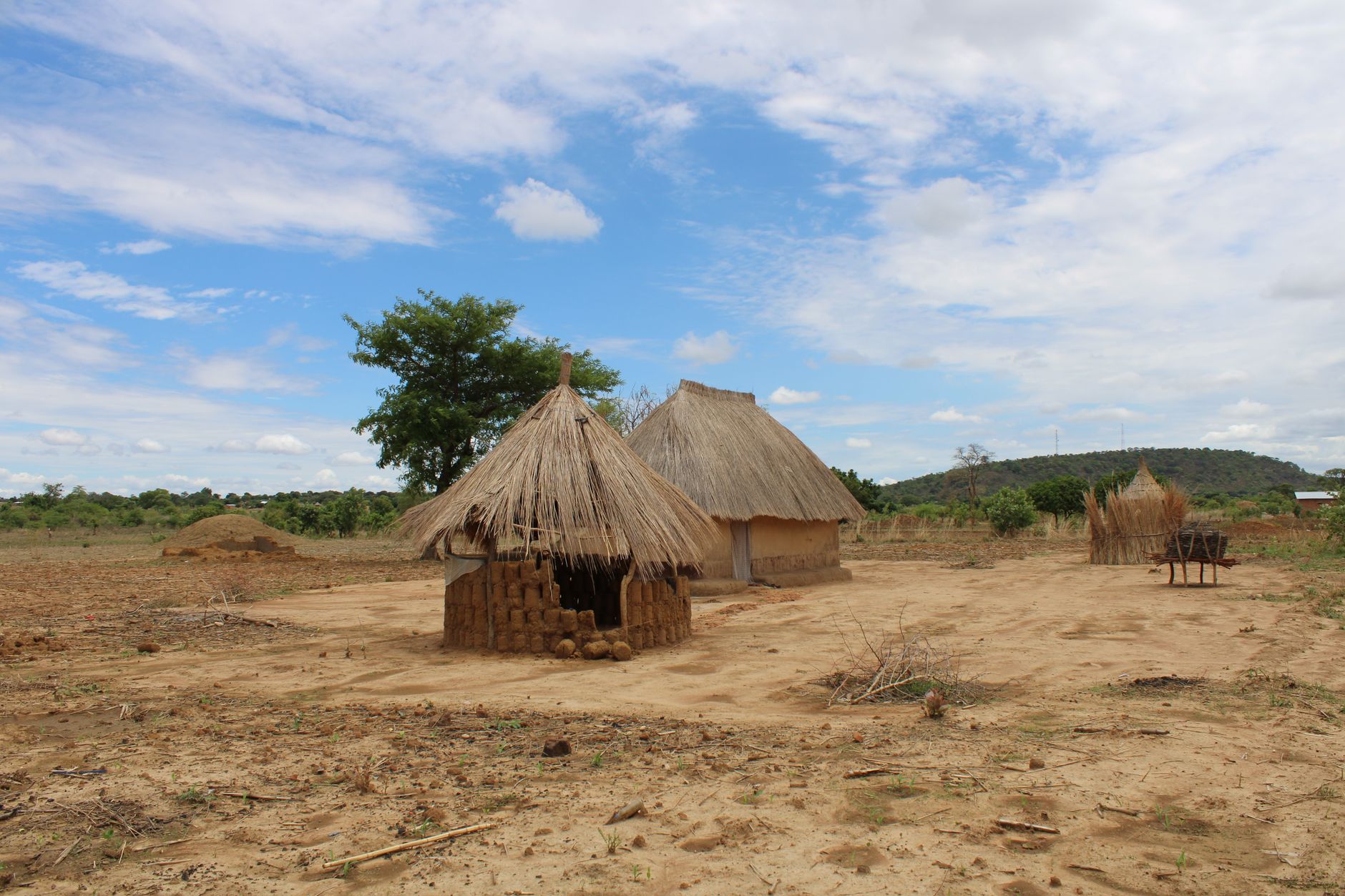 Zambia